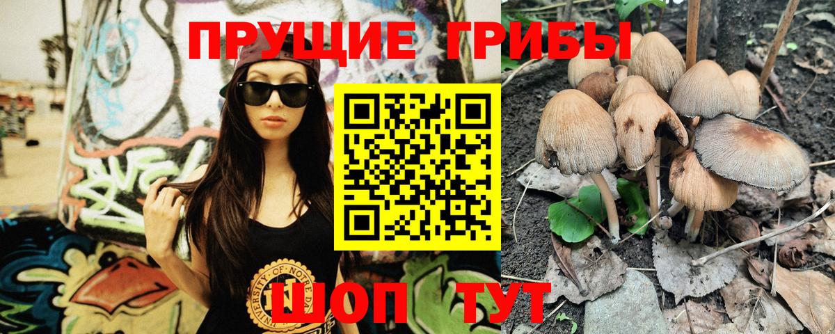 Псилоцибиновые грибы Psilocybine cubensis  Вход с VPN  Курчалой  купить  цена  Псилоцибиновые грибы мицелий 