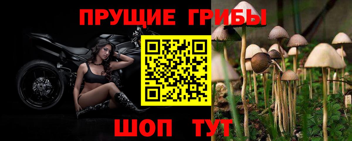 MDMA Курчалой
