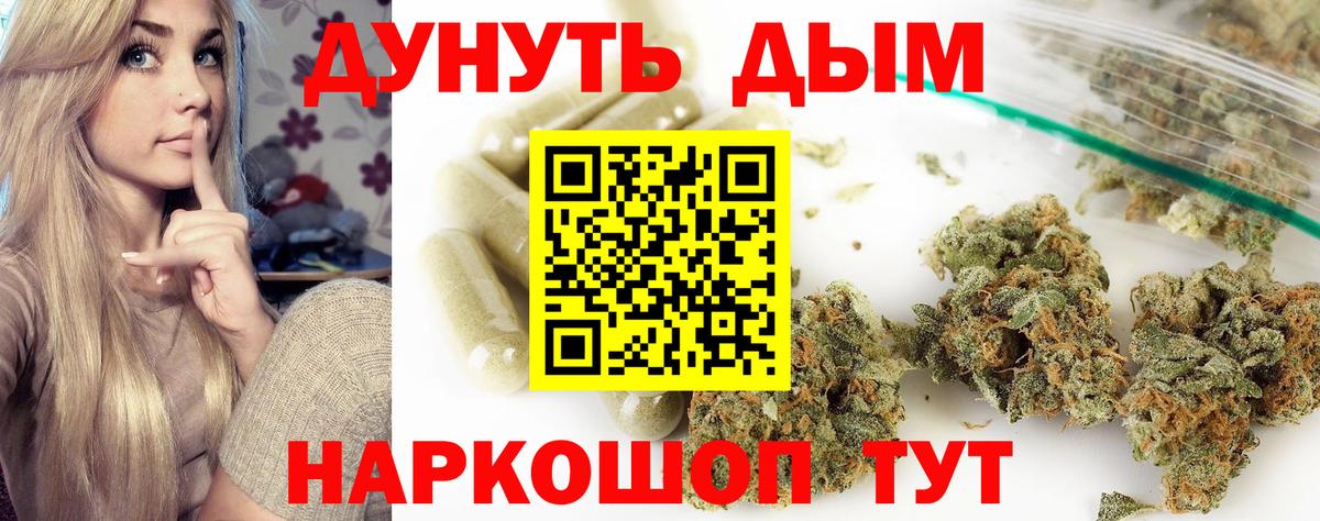 Бошки марихуана план  Марихуана гибрид  Вход с VPN  Курчалой  Конопля индика 